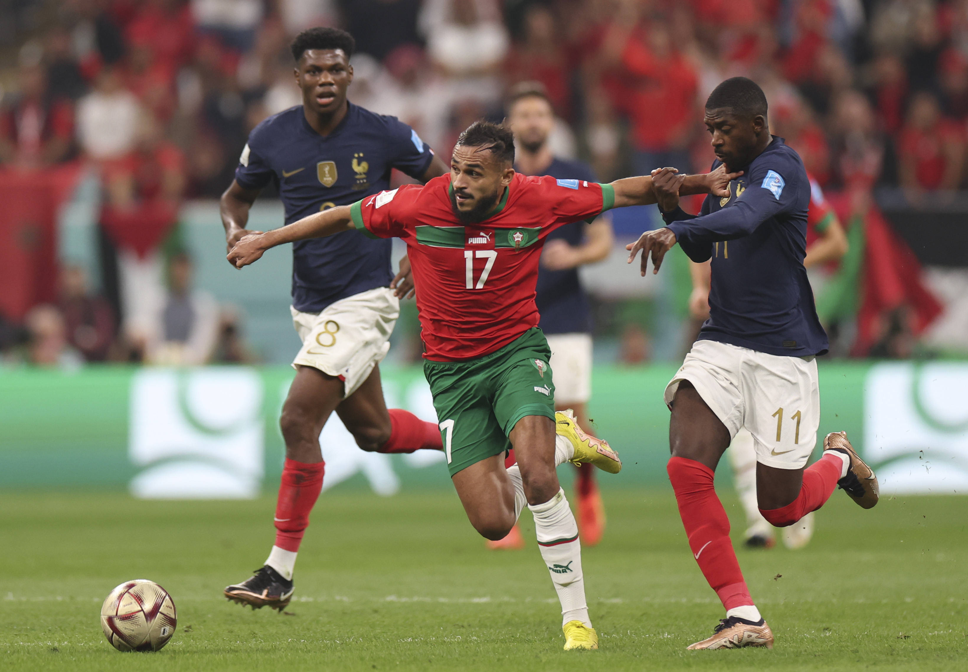 不仅反映了 不仅反映了