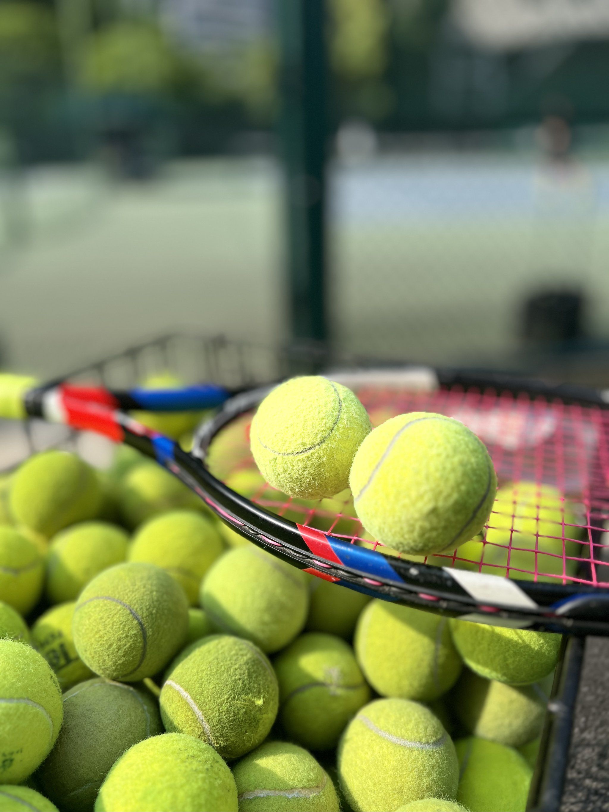 充分彰显了 充分彰显了