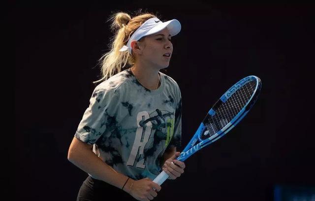 级别的隔扣 级别的隔扣