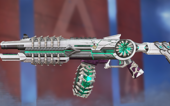 浙江男篮外 浙江男篮外